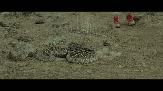 涉足荒野-BD1080P-MP4-中文字幕