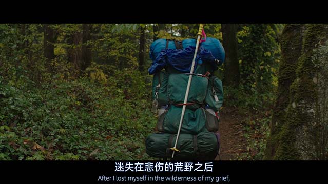 涉足荒野-BD1080P-MP4-中文字幕