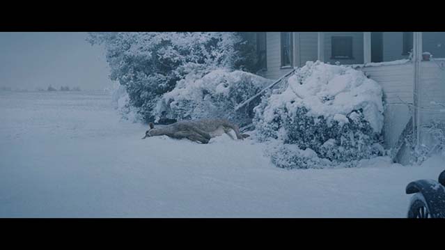 1922-HD080P-MP4-中文字幕