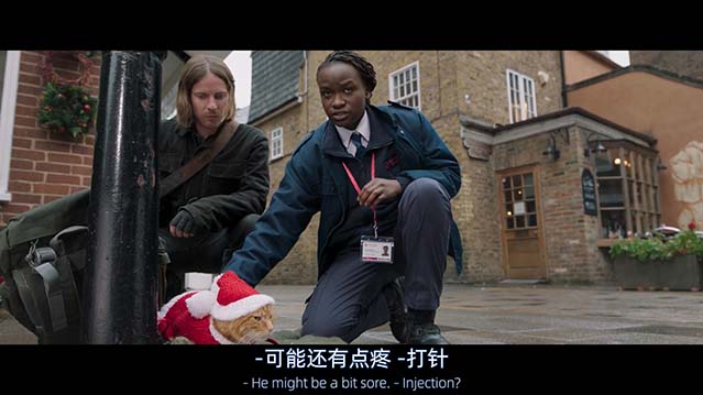 流浪猫鲍勃2:鲍勃的礼物-BD1080P-MP4-中文字幕