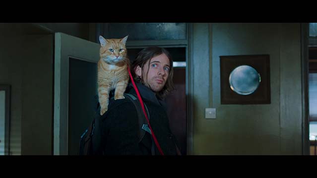 流浪猫鲍勃2:鲍勃的礼物-BD1080P-MP4-中文字幕