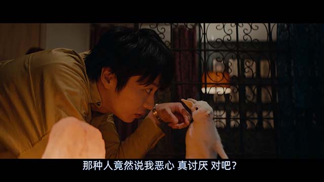 哀愁灰姑娘-HD1080P-MP4-中文字幕