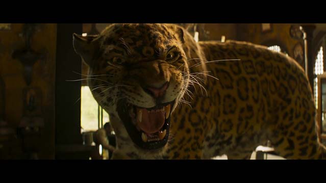 丛林奇航-BD1080P-MP4-中文字幕