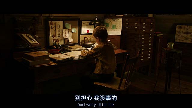 少年斯派维的奇异旅行-BD1080P-MP4-中文字幕