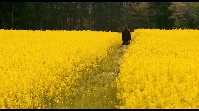 风的电话-HD1080P-MP4-中文字幕