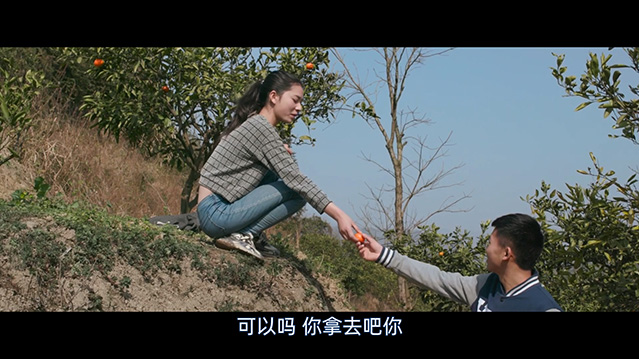 笨鸟-BD1080P-MP4-中文字幕