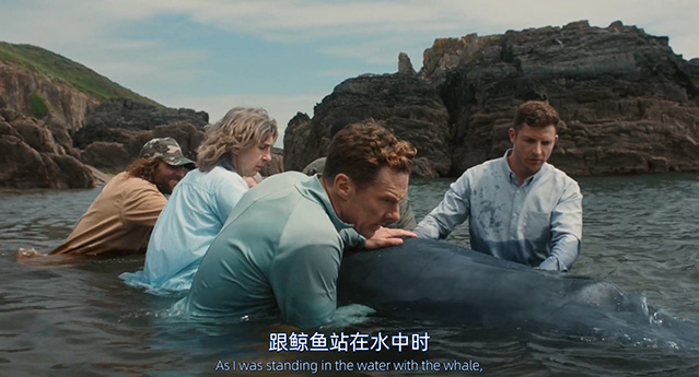 玫瑰战争-HD1080P/2160P-MP4-中文字幕