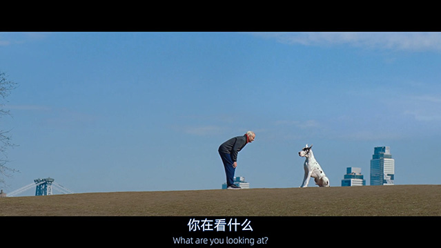 挚友-BD1080P-MP4-中文字幕