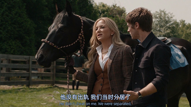 紧急呼救:纳什维尔-1080P全集中文字幕-BT迅雷下载