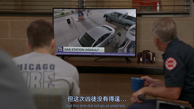 芝加哥烈焰 第十四季-1080P全集中文字幕-BT迅雷下载