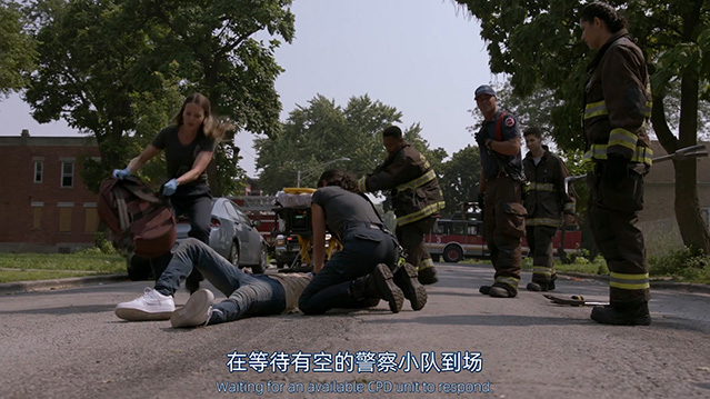 芝加哥烈焰 第十四季-1080P全集中文字幕-BT迅雷下载