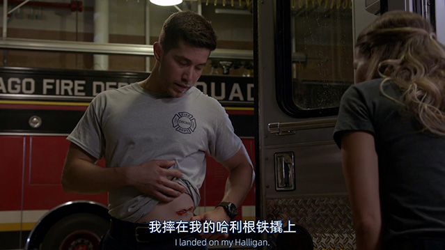 芝加哥烈焰 第十四季-1080P全集中文字幕-BT迅雷下载