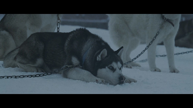 南极大冒险-BD1080P-MP4-中文字幕