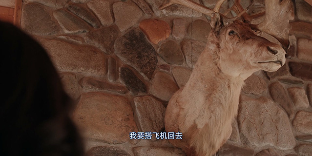 寻欢觅爱-HD1080P-MP4-中文字幕