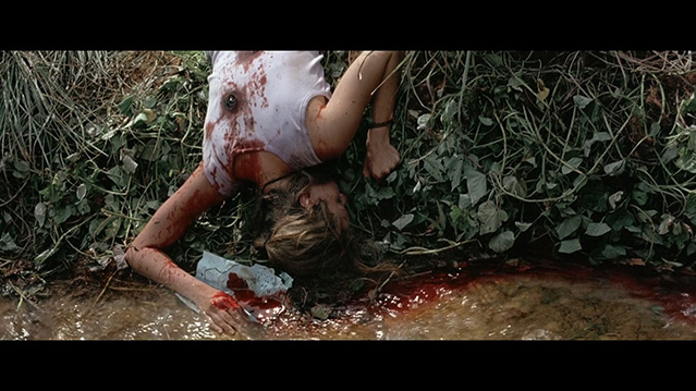 海滩-HD1080P-MP4-中文字幕