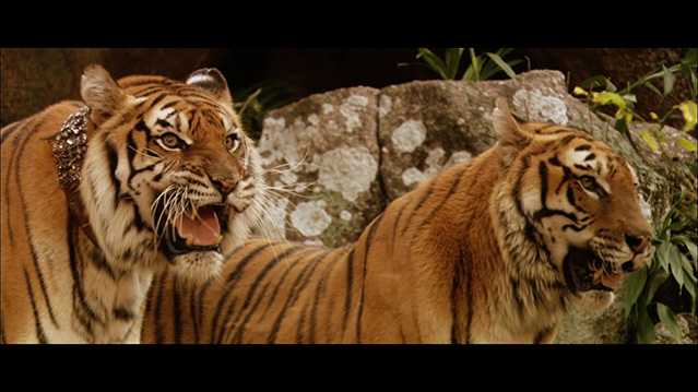 虎兄虎弟-BD1080P-MP4-中文字幕