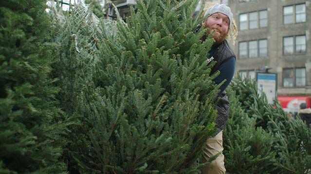 年节生意-HD1080P-MP4-中文字幕