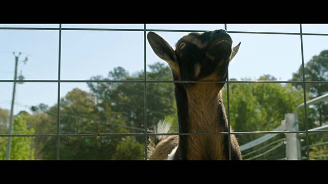 为你遗憾-HD1080P-MP4-中文字幕