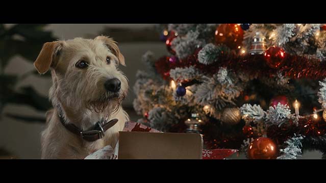 爱犬莫福-HD1080P-MP4-中文字幕