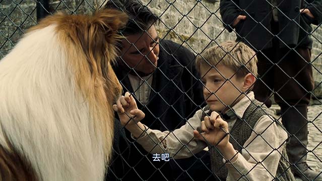 新灵犬莱西-HD1080P-MP4-中文字幕