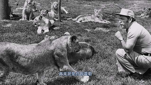 海象与吹哨人-BD1080P-MP4-中文字幕