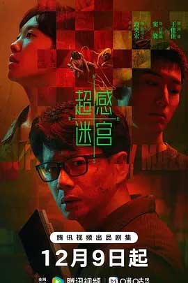 超感迷宫-2160P全集中文字幕-BT迅雷下载