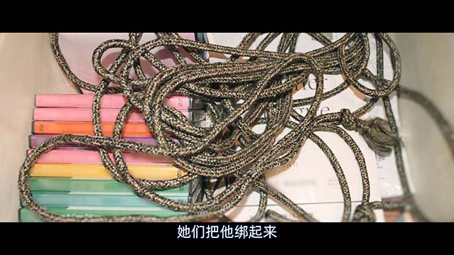 邪恶网红：育儿界的黑暗故事-HD1080P-MP4-中文字幕