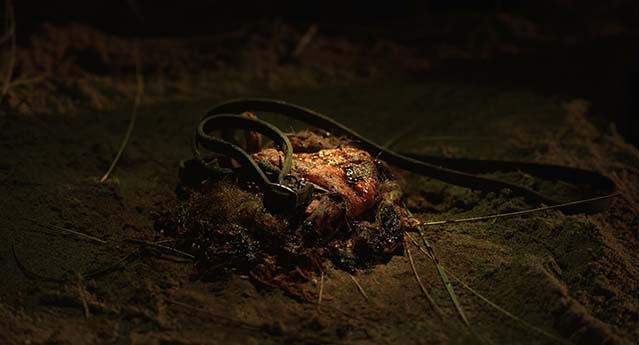 阿尔玛与狼-HD1080P-MP4-中文字幕