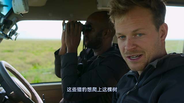 摄影师贝尔蒂与猎豹零距离-HD1080P-MP4-中文字幕