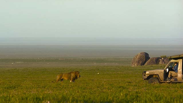 摄影师贝尔蒂与猎豹零距离-HD1080P-MP4-中文字幕