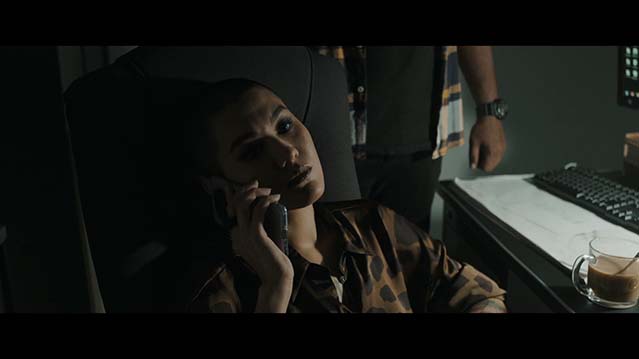 血虎:家族内战-HD1080P-MP4-中文字幕