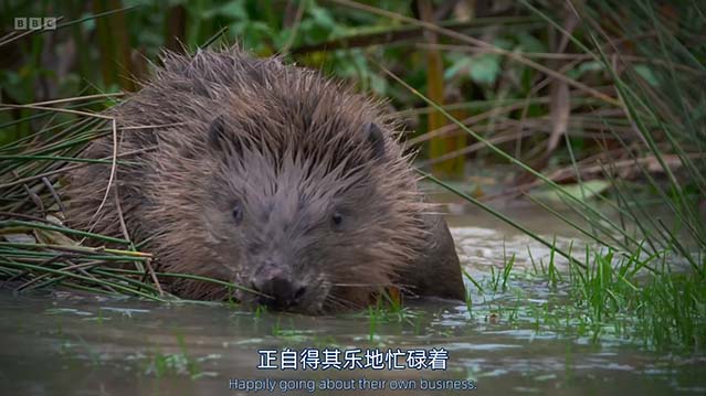 狂野伦敦-HD1080P-MP4-中文字幕