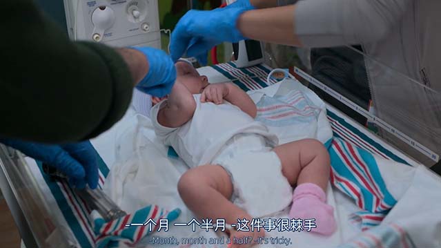 匹兹堡医护前线 第二季-1080P全集中文字幕-BT迅雷下载