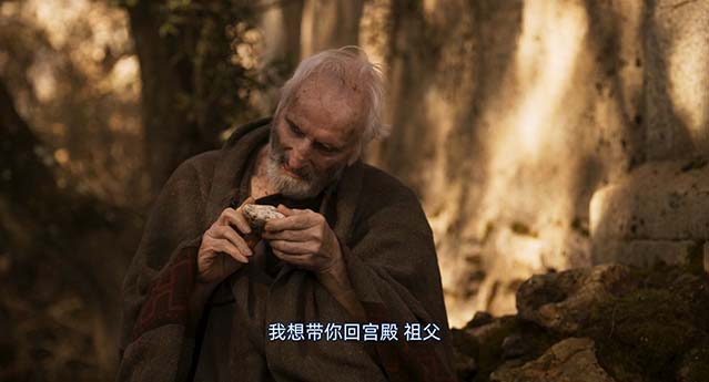 王者归来-BD1080P-MP4-中文字幕