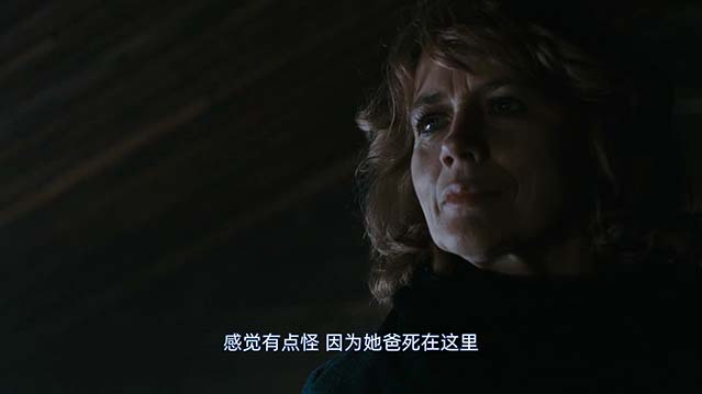 龙纹身的女孩-BD1080P-MP4-中文字幕