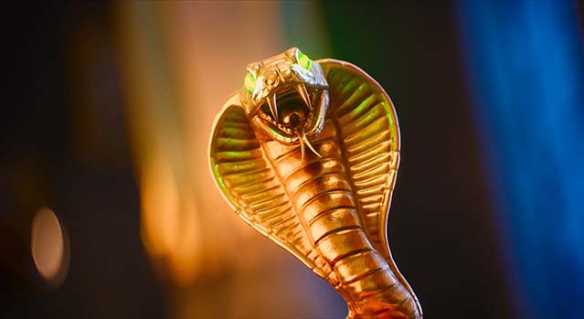 疯狂海盗团2-HD1080P-MP4-中文字幕