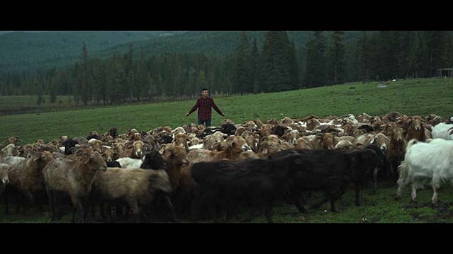 阿勒泰之歌-HD1080P/2160P-MKV-中文字幕