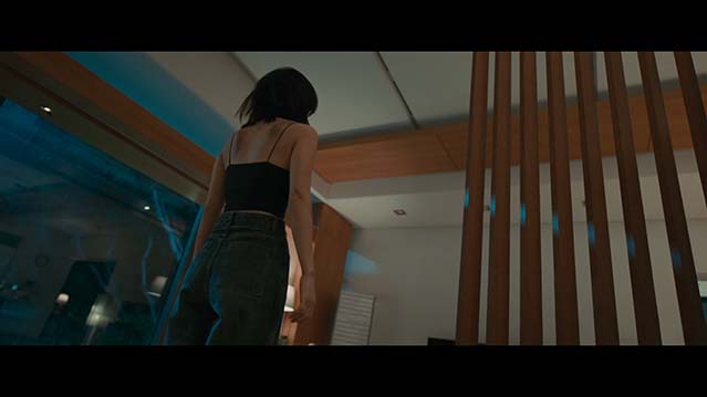 荣耀-1080P全集中文字幕-BT迅雷下载