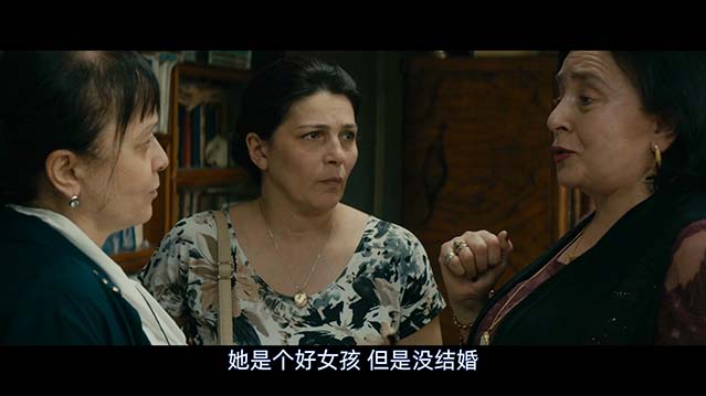 我的快乐家庭-BD1080P-MP4-中文字幕