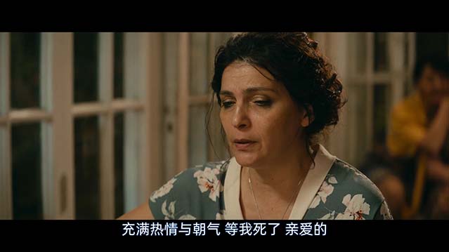 我的快乐家庭-BD1080P-MP4-中文字幕