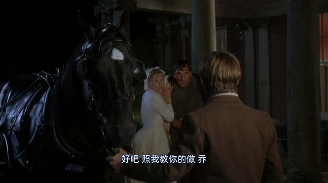 黑骏马-BD1080P-MP4-中文字幕