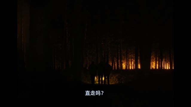 浴火之森-HD1080P-MP4-中文字幕