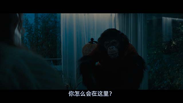猩疯血雨-HD1080P-MP4-中文字幕