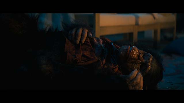 猩疯血雨-HD1080P-MP4-中文字幕