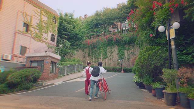 未婚男女的效率恋爱-1080P全集中文字幕-BT迅雷下载