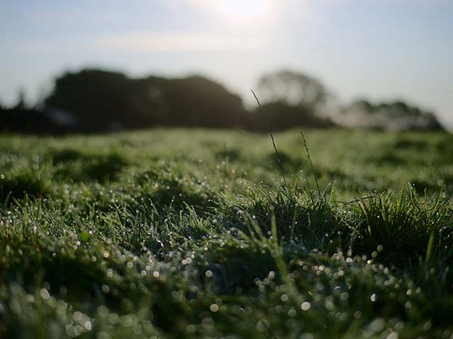 夏日细语-BD1080P-MP4-中文字幕