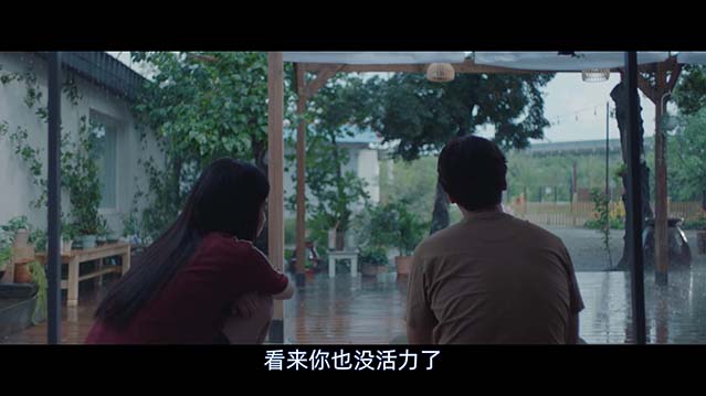 依然闪亮-1080P全集中文字幕-BT迅雷下载