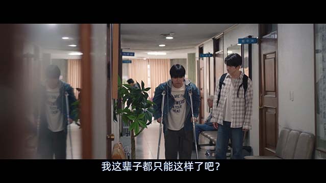 依然闪亮-1080P全集中文字幕-BT迅雷下载