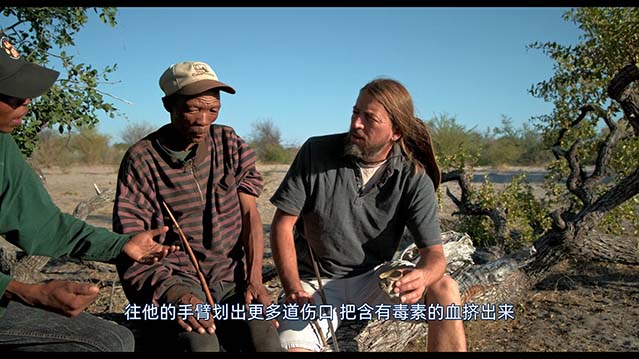 追寻幽灵大象-HD1080P-MP4-中文字幕