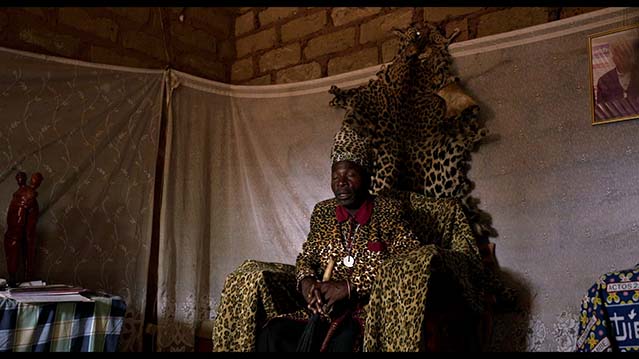 追寻幽灵大象-HD1080P-MP4-中文字幕